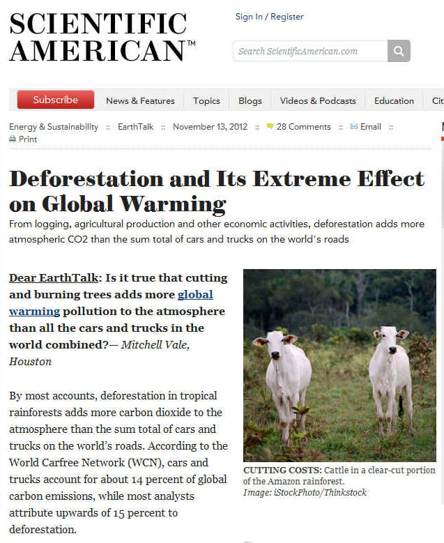 articles on deforestation