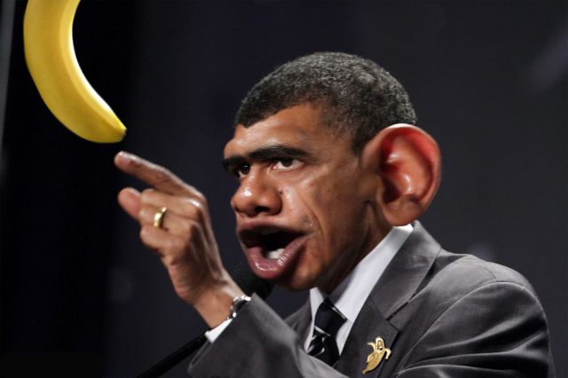 Barack-Obama-Monkey-64727.jpg