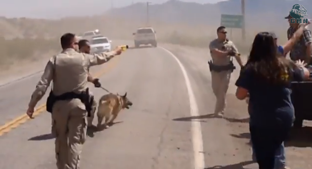 Must See Video! Feds Assault Bundy Ranch Protesters With Tasers And K9 Dogs