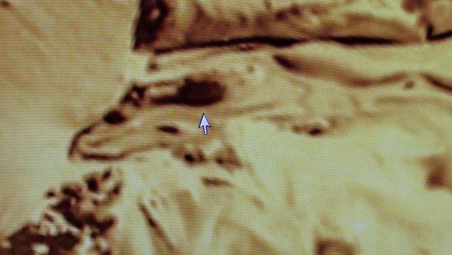 Admiral Byrd Photographed An Alien Civilization In Antarctica | Space