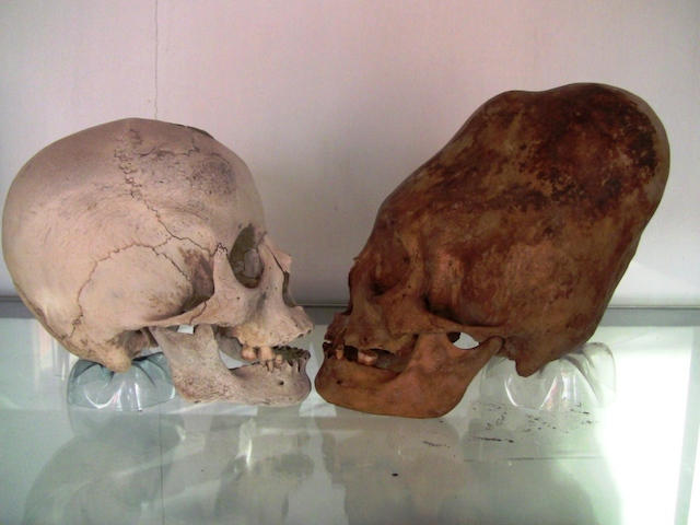 ParacasSkull.jpg