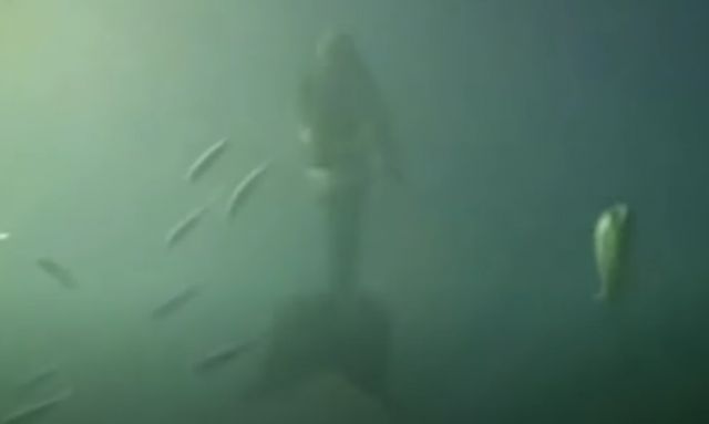 Real-Life Mermaid Swims Past Diver Off Australia Coast??!!