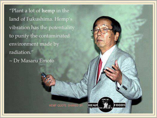 Hidden Messages In Water Masaru Emoto Quotes. QuotesGram
