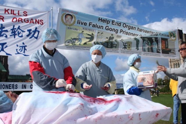 Simulated Organ Harvesting in China