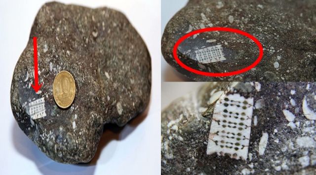  Ancient Microchip” that Dates Back 250 Million Years.