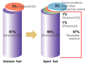 spent%20nuclear%20fuel.jpg