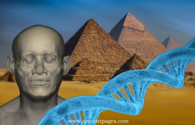 Breakthrough: Oldest Egyptian DNA Extracted From Individual Who Lived During The Age Of The First Pyramids