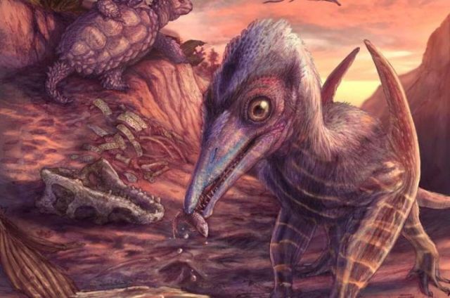 North America’s Oldest Known Pterosaur – Discovered