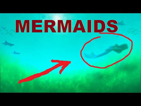 Mermaid Caught On Camera in South Africa