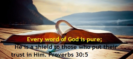 God's Way is perfect, the Word of the Lord is pure! | Spirit