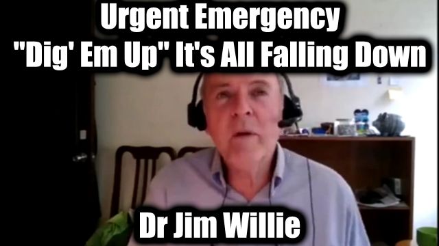 Dr. Jim Willie Urgent Emergency "Dig' Em Up" - It's All Falling Down 2025