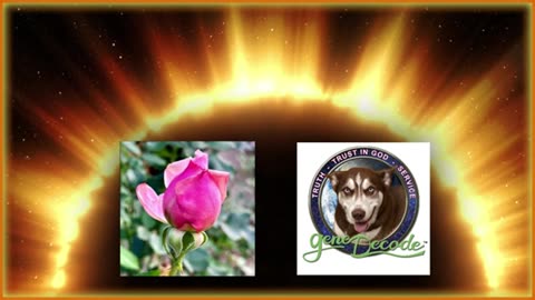 Gene Decode: Shocking Revelations That Change Everything! 2025