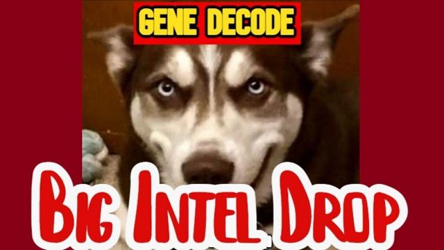 Gene Decode Big Intel 6.2.26 - Everything is Finally Coming Out
