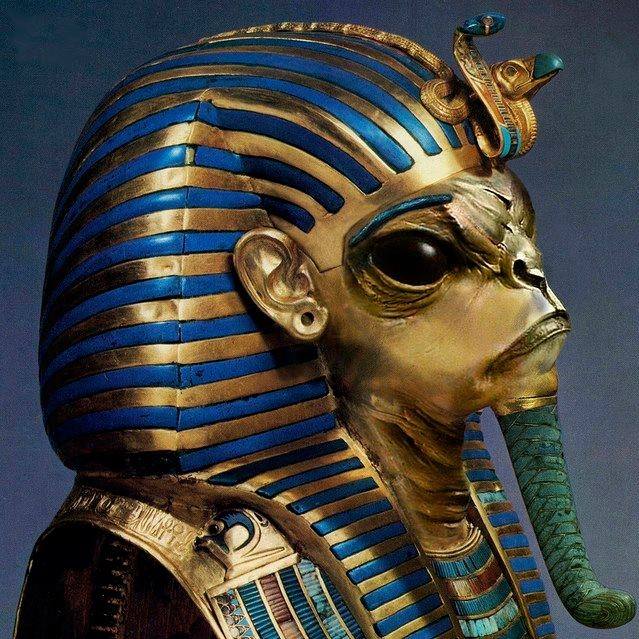 Egyptian Gods, Tall Grays, Reptilians and Space Pirates 2024