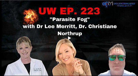 'Parasite Fog' with Dr Lee Merritt, Dr. Christiane Northrup - Unrestricted Warfare Ep. 223 2025