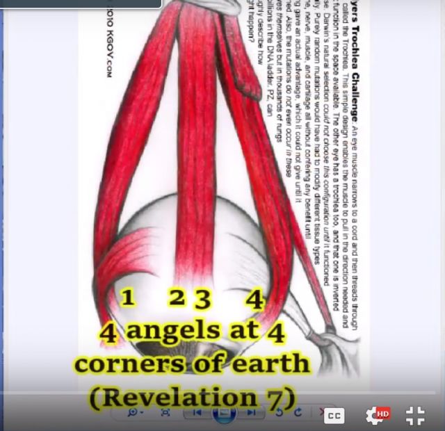 Revelation 10 Finally Decoded: The 42 Degree Angle of the Rainbow ...