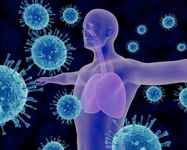 Your Immune System Needs a Boost in Today's Polluted World (Video) 