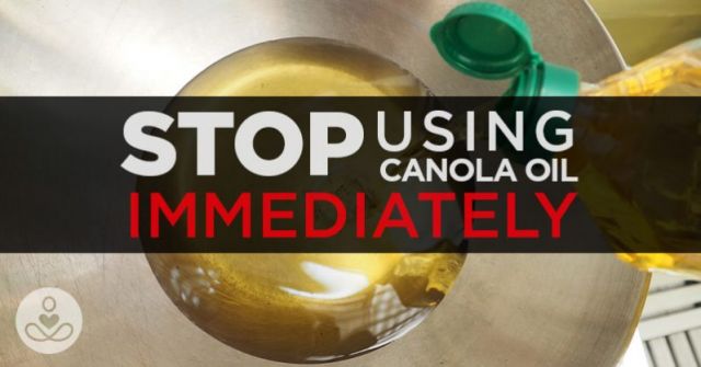 This is Why You Need to Stop Using Canola Oil Immediately (Video)
