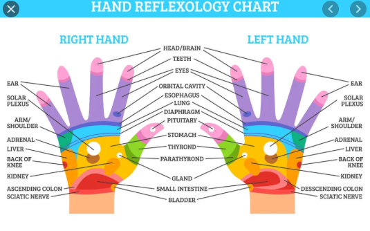 Each Body Part Is in the Palm of Your Hand - Press These Points for ...