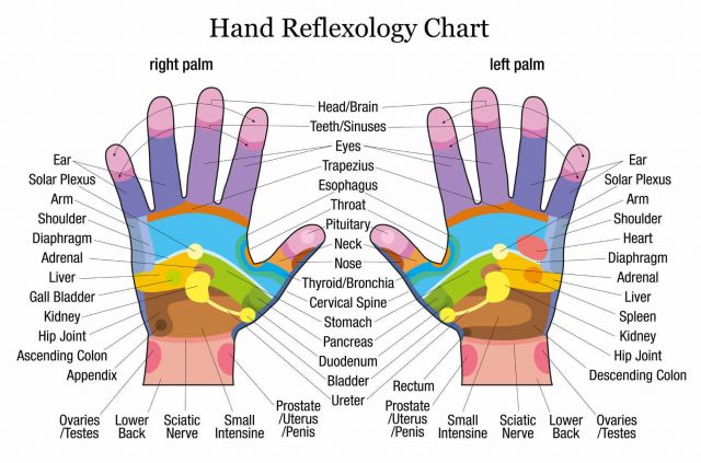 Learn Reflexology With Free Charts Points For Specific Ailments