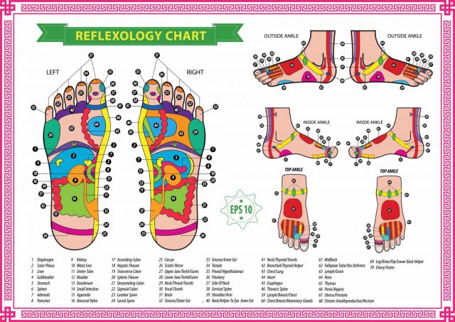Foot Reflex Charts And Remedy Points