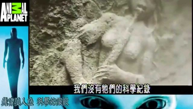 100 Real Mermaid Sighting Real Mermaids Caught on Film