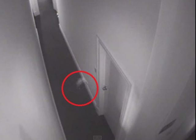 Ghost Caught on Security Camera in Adelaide South Australia | Paranormal