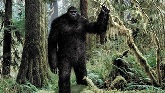 bigfoot.jpg