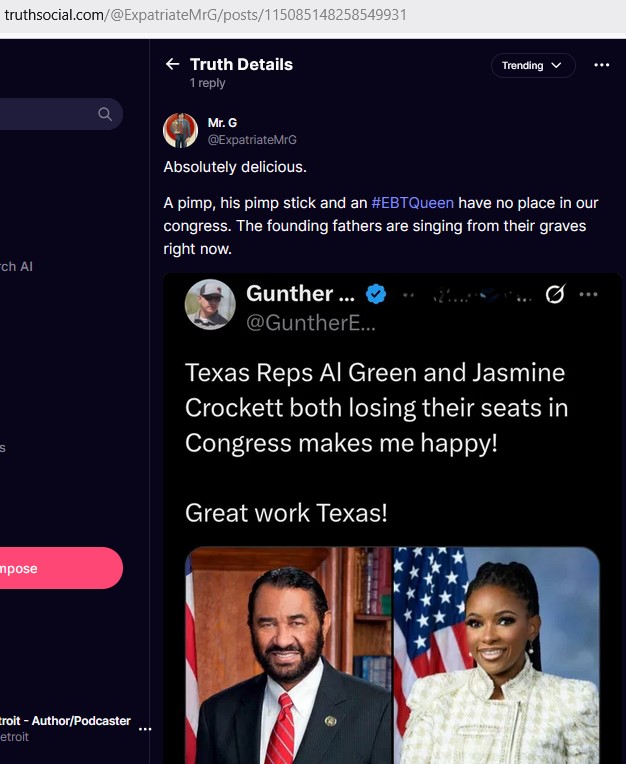 Texas ReDistricting - NO, does NOT assure Crockett and Green going bye bye... | U. S. Politics | Before It's News