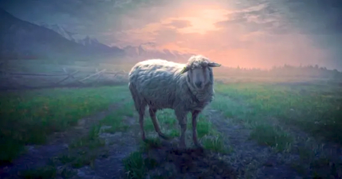 Prophecy News – ‘The Faithful Shepherd Says: You Are Like Sheep Gone Astray!’, given to William Brooks by Jesus, April 17th, 2024