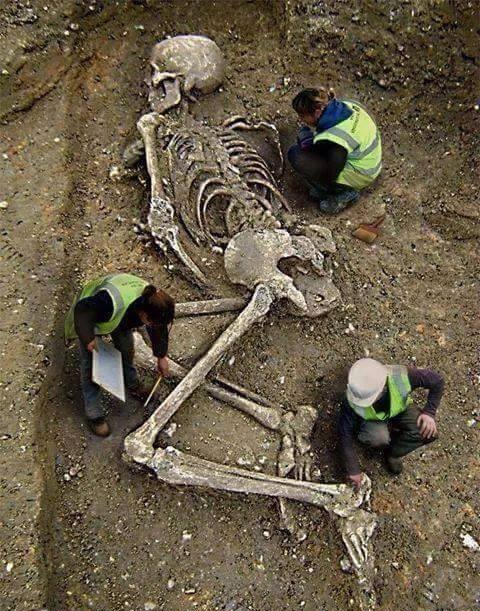 In The Last Decade It Has Been Discovered More Than 1 000 Skeletons Of   12033019 916912235010498 3662558509001557952 N(1) 