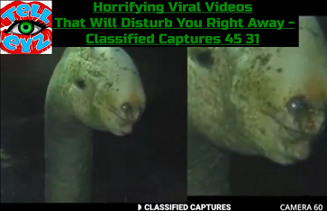 WHAT'S HAPPENING NOW  !!!! HORRIFYING  !!!!  MUST SEE