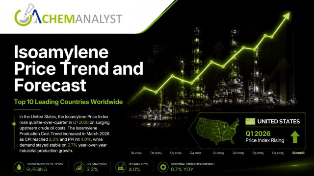 Isoamylene Price
