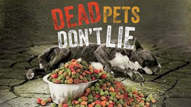 Dead Pets Don't Lie—FDA Admission to Euthanized Pets Being Rendered Back in Commercial Pet Food (VIDEO)