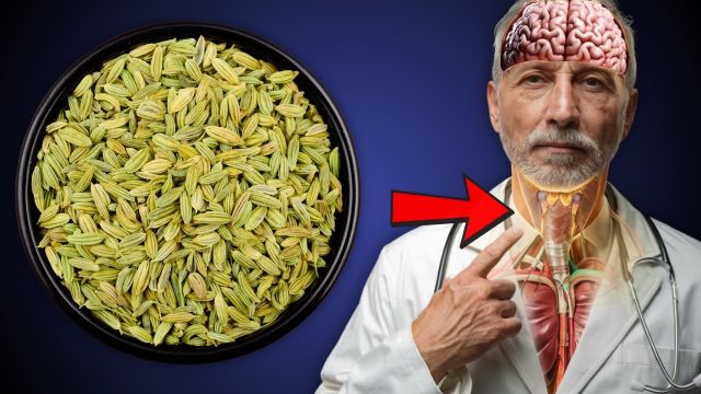 Just a PINCH of FENNEL SEEDS Triggers an UNBELIEVABLE Reaction in Your Body!