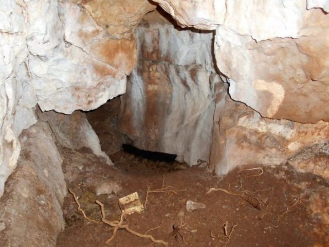 Northern Britain’s Oldest Human Remains Discovered At Heaning Wood Bone Cave In Cumbria