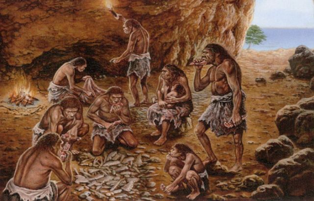 Groundbreaking Discovery Reveals High Cognitive Abilities In Humans Who 