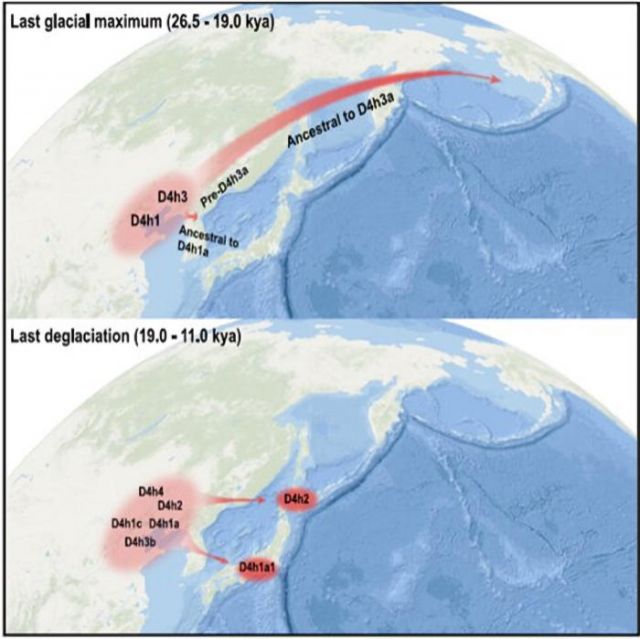 Ice Age Humans Migrations