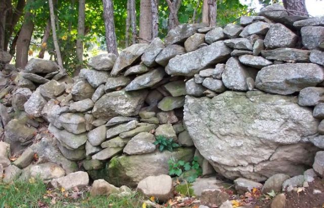 New England’s Abandoned Stone Walls Deserve A Science Of Their Own