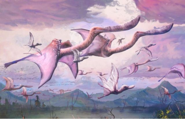 pterosaurs