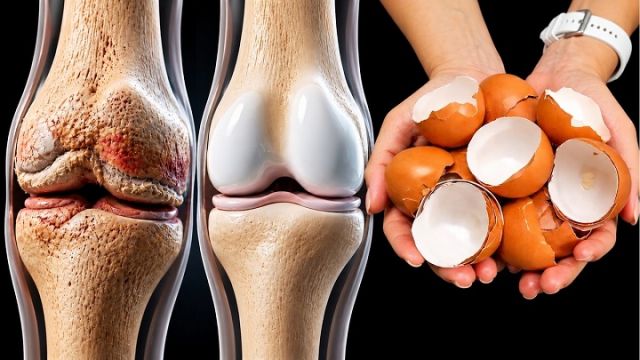 I Couldn’t Walk Anymore, Now I Run 🏃‍♀️🥚 Never Throw Away Eggshells!